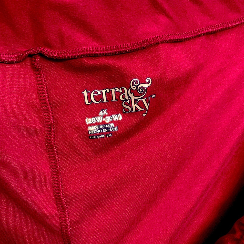 Terra and sky maroon stretchy pants